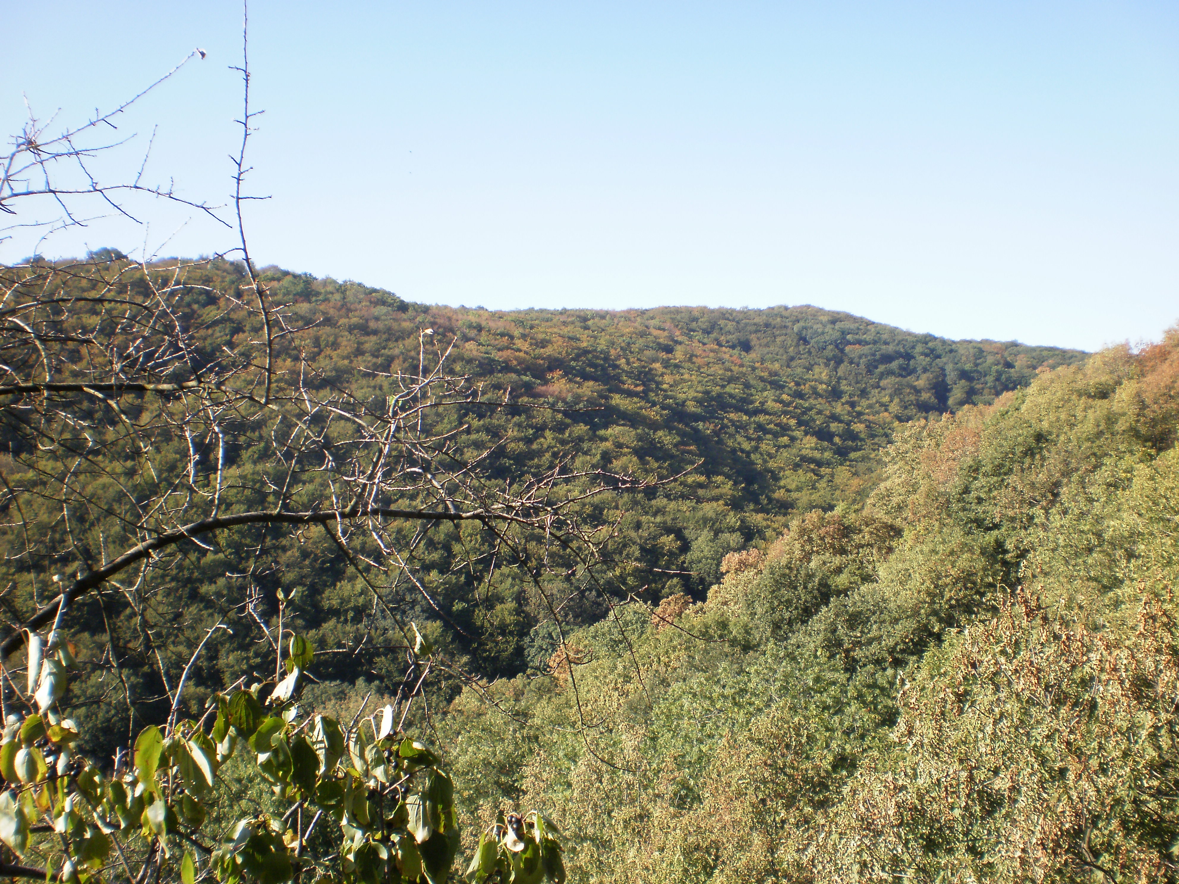 SMOLENICKÝ KRAS 011.jpg