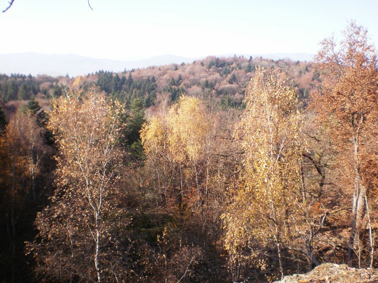 Kopie - TIESŇAVOU HLINÍKA 086