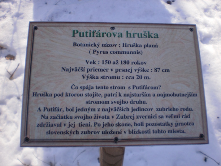 Kopie - ČLNOK A ZUBRIA OBORA 040
