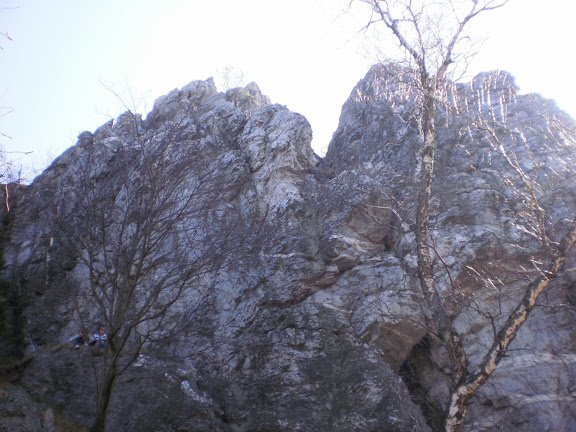 JAR NA LYSCI 032