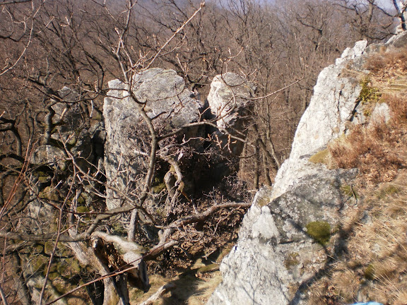 JAR NA LYSCI 054