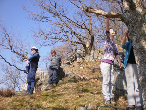 JAR NA LYSCI 056