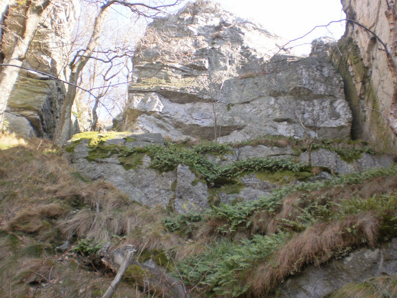 JAR NA LYSCI 060