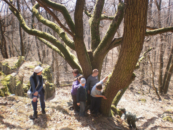 JAR NA LYSCI 071