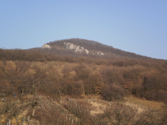 JAR NA LYSCI 085