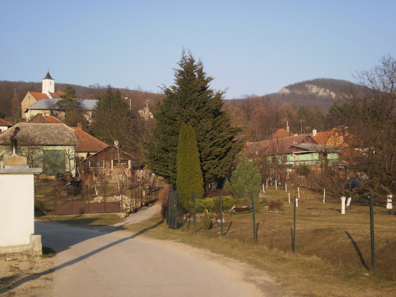 JAR NA LYSCI 093