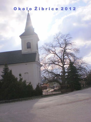 Kopie - OKOLO ŽIBRICE 001