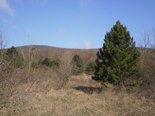 Kopie - OKOLO ŽIBRICE 006