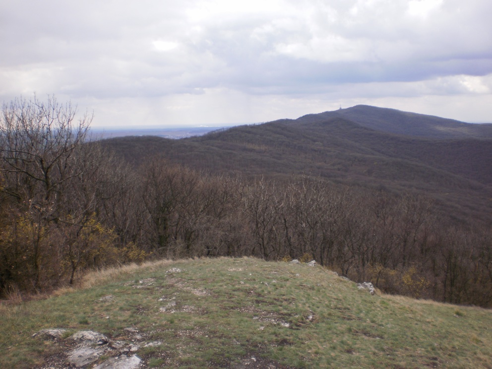 Kopie - OKOLO ŽIBRICE 073