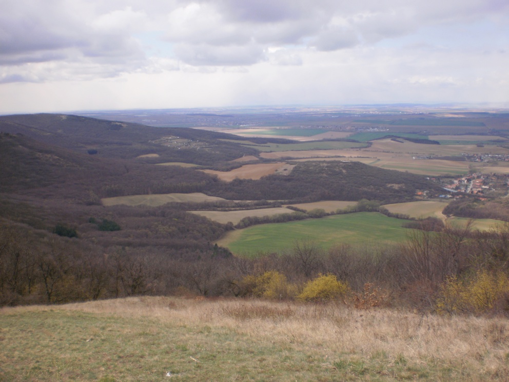 Kopie - OKOLO ŽIBRICE 074