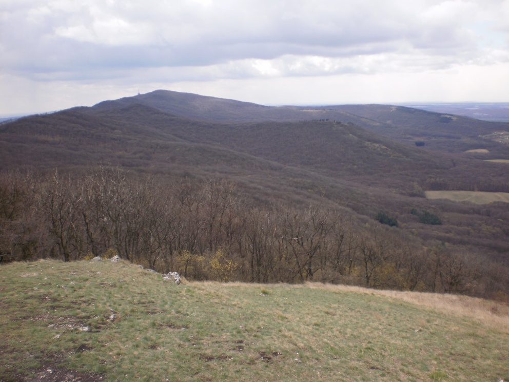 Kopie - OKOLO ŽIBRICE 075
