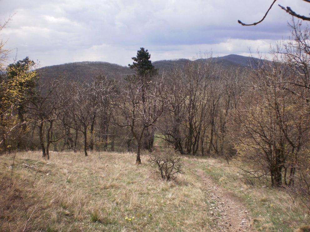 Kopie - OKOLO ŽIBRICE 076