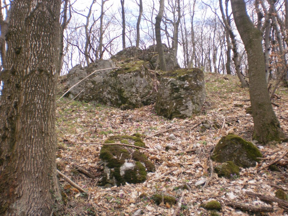 Kopie - OKOLO ŽIBRICE 092