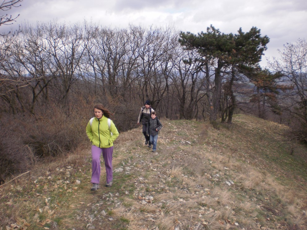 Kopie - OKOLO ŽIBRICE 099