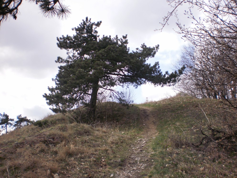 Kopie - OKOLO ŽIBRICE 104