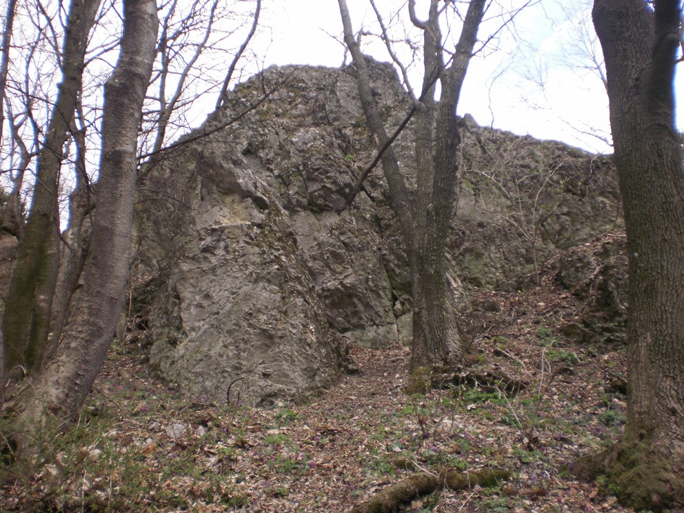 Kopie - OKOLO ŽIBRICE 111